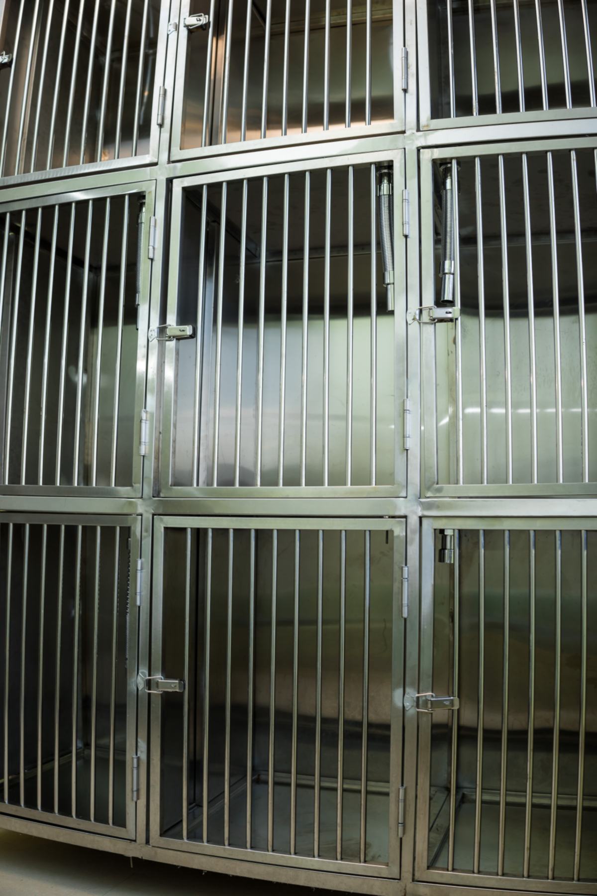 Mobivet Veterinary Clinic gallery photo